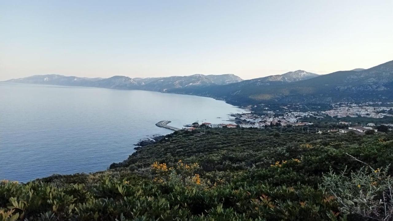 Casa Alessia Διαμέρισμα Cala Gonone Εξωτερικό φωτογραφία